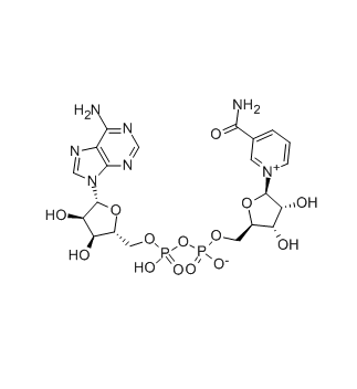 CAS 53-84-9, Beta-Diphosphopyridine nucleotide