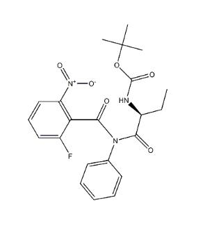 (S)-([1-(2-fluoro-6-nitro-benzoyl)-phenyl-aMinocarbonyl]-propyl)-carbaMic acid tert-butyl ester