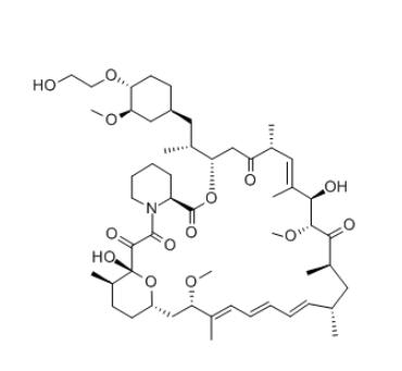 MTOR Inhibitor Everolimus 159351-69-6